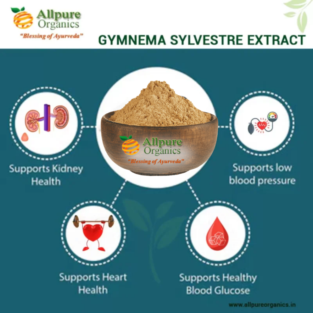 Gymnema Sylvestre