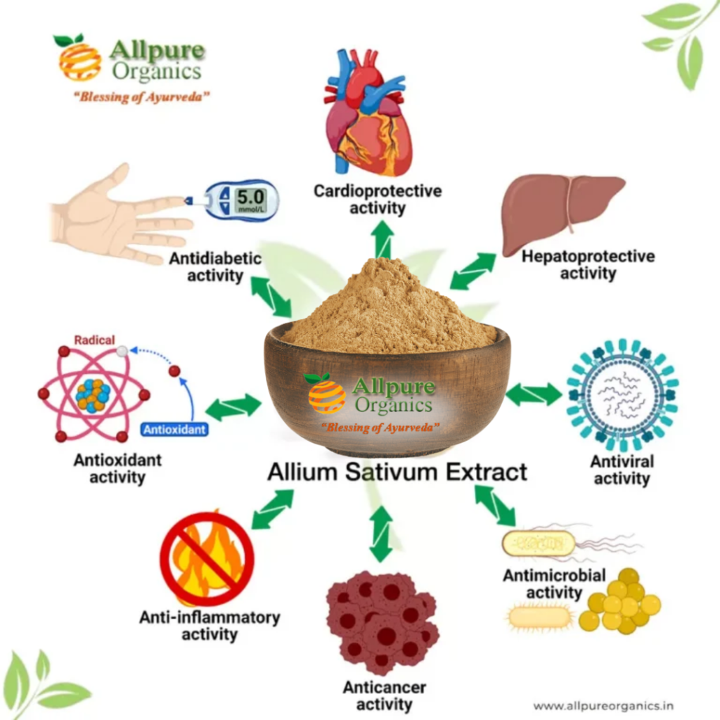 Allium Sativum