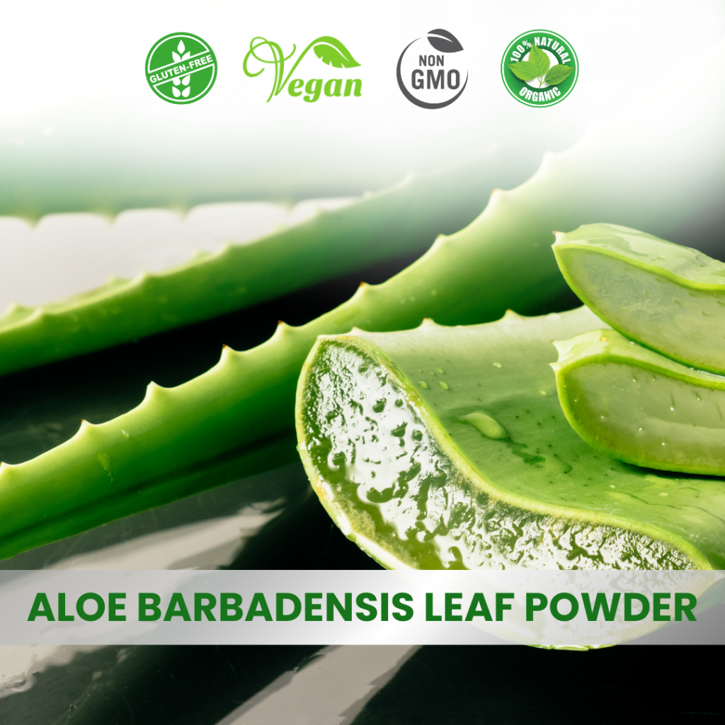 Aloe Vera