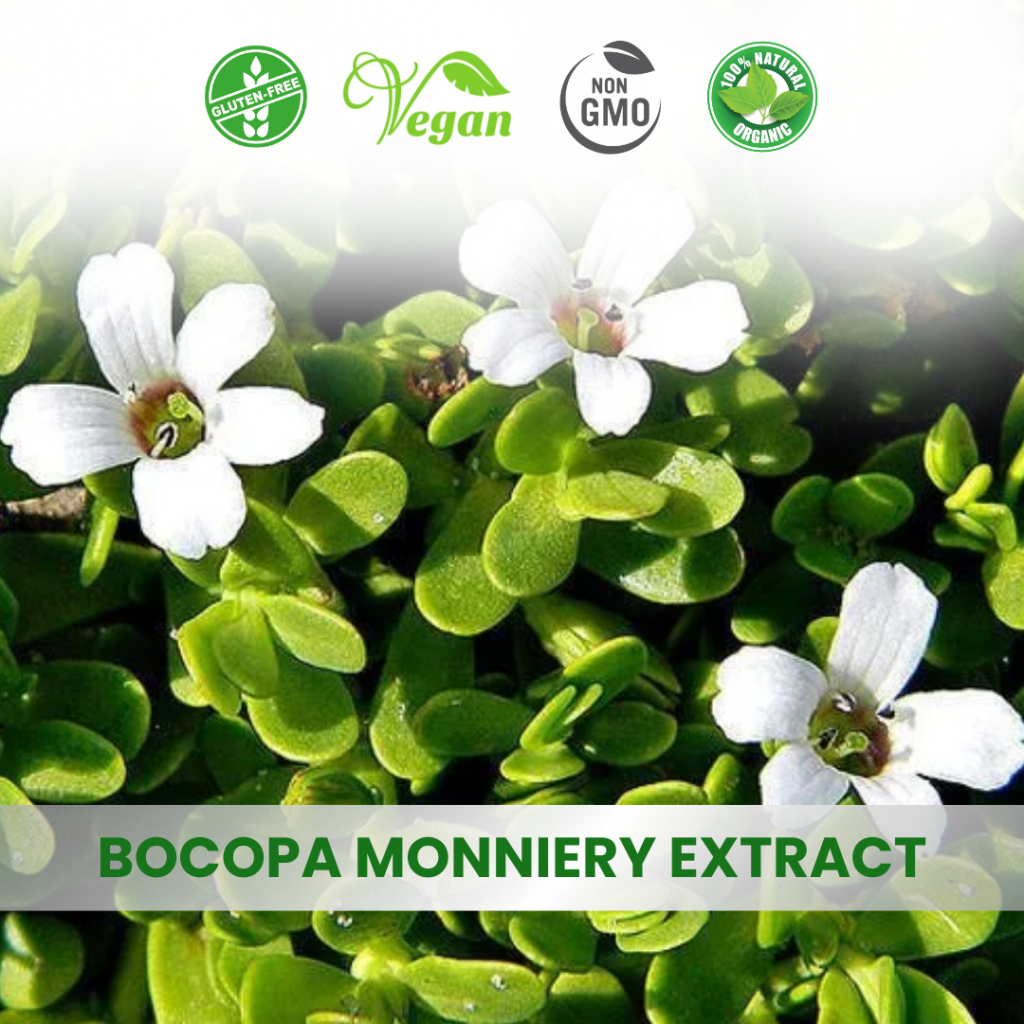 Bacopa Monnieri