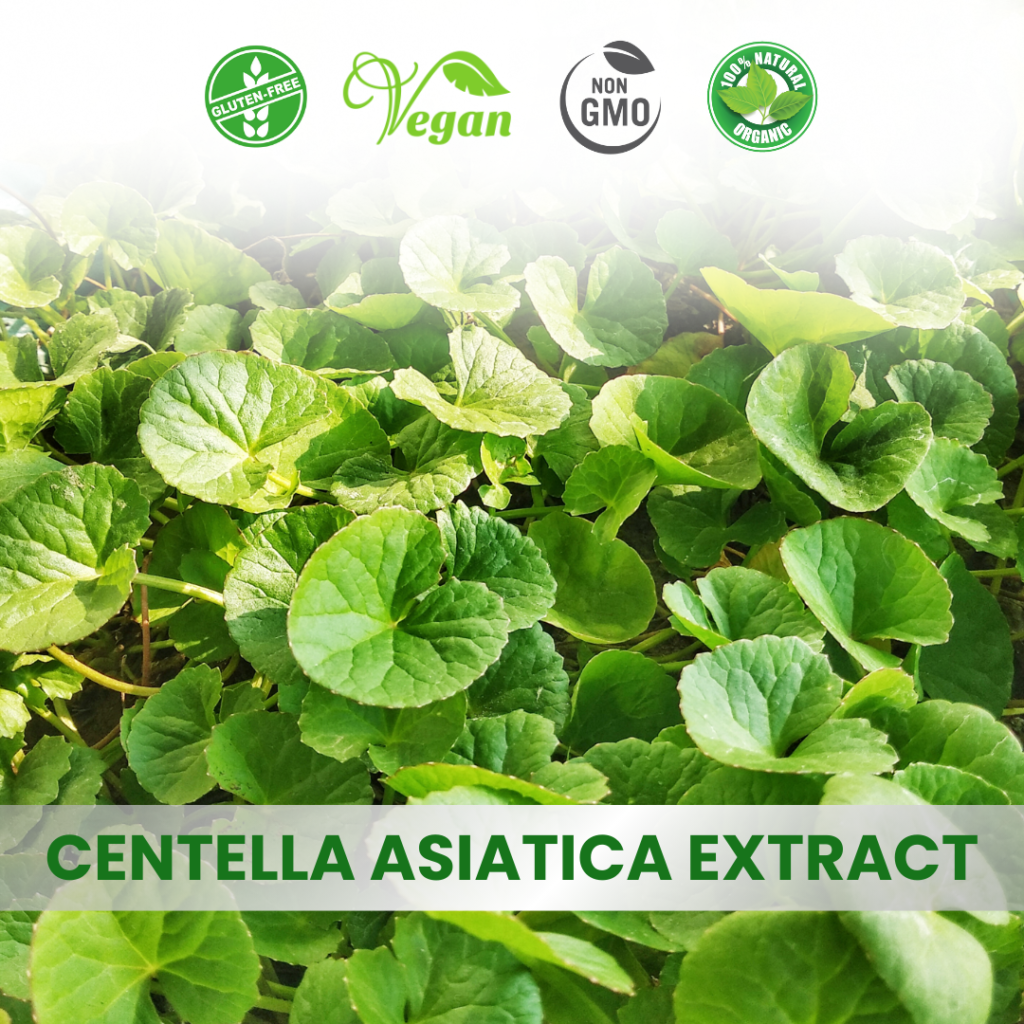 Centella Asiatica