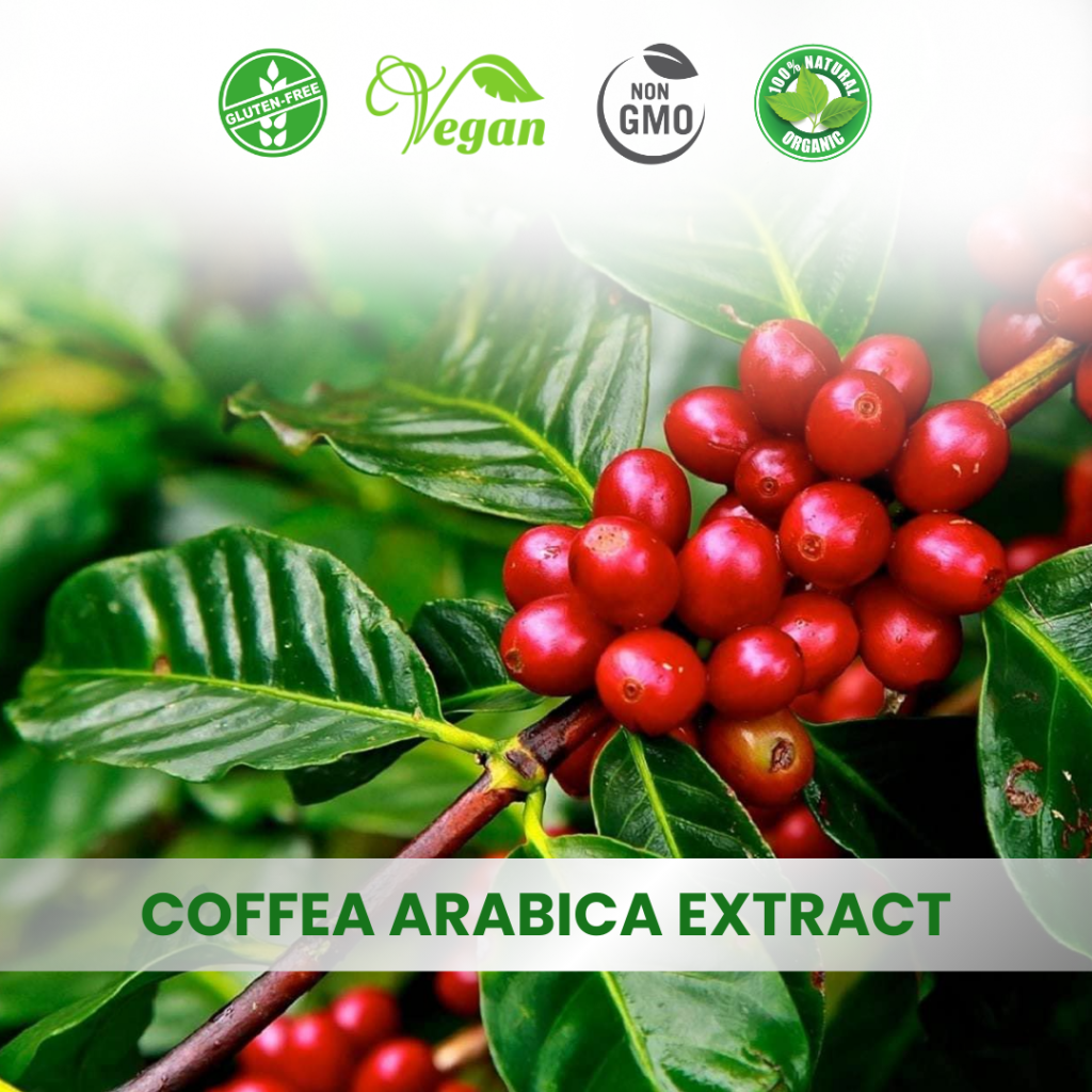 Coffee Arabica