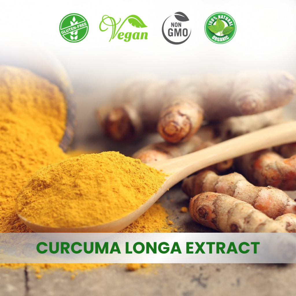 Curcuma longa