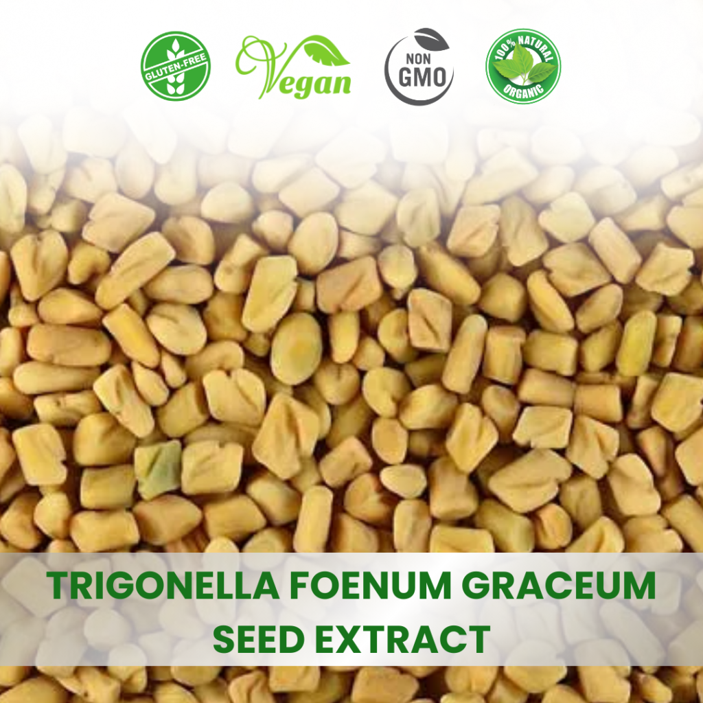 Fenugreek