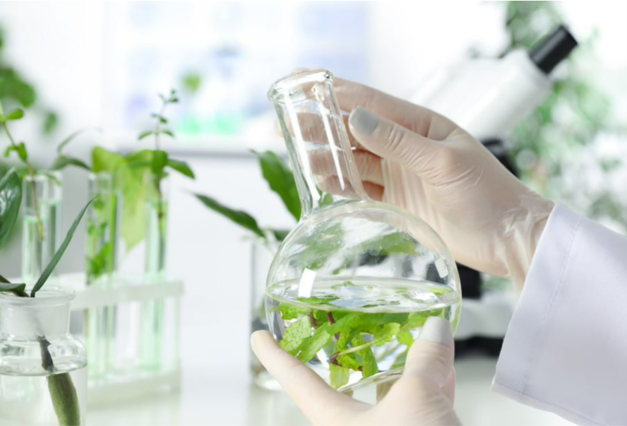 Allpure Organics Customer Satisfaction