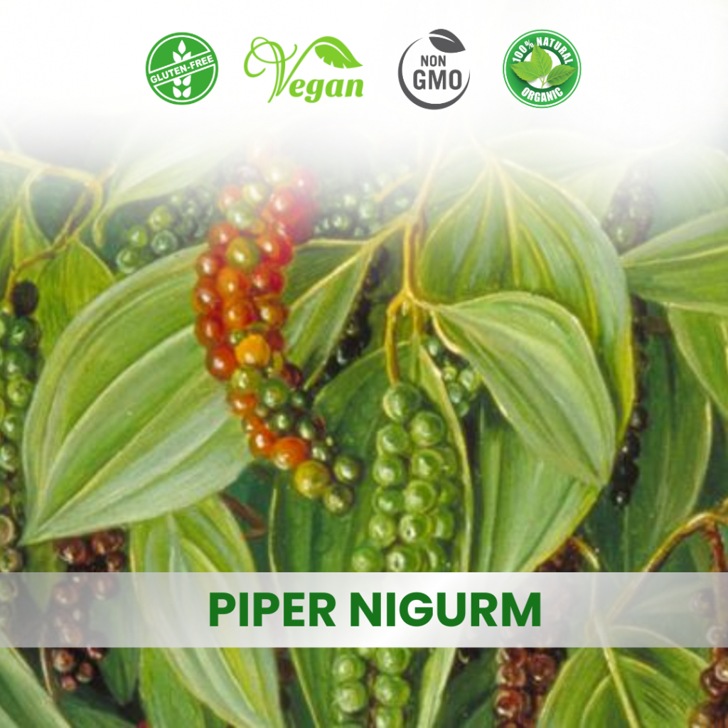 Piper Nigrum
